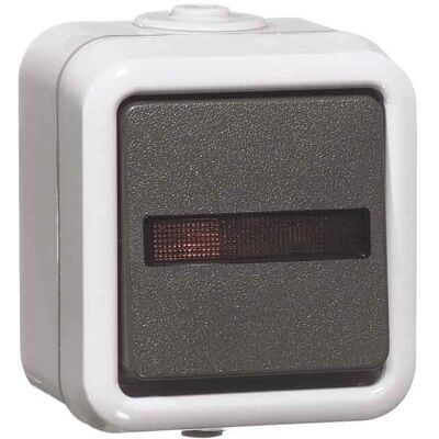 Peha Wippschalter Kontroll - Schalter - Grau - 2P 250V 10A Peha Wippschalter Kontroll - Schalter - Grau - 2P 250V 10A