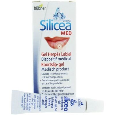 Gel Silicea 2 g - Herpes Labiale Hübner Gel Silicea 2 g - Herpes Labiale Hübner