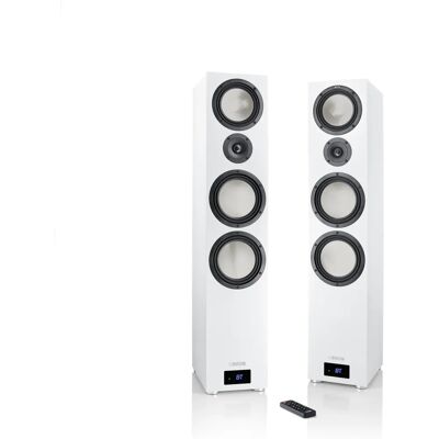 Canton GLE 9 S2 Wireless Lautsprecher - Smart Typ Canton GLE 9 S2 Wireless Lautsprecher - Smart Typ