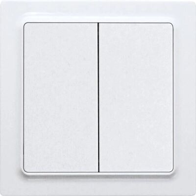 Eltako F4T55E-wg Interrupteur mural sans fil 2 canaux - Compatible domotique Eltako F4T55E-wg Interrupteur mural sans fil 2 canaux - Compatible domotique