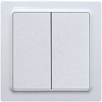 Eltako F4T55E-wg Interruttore a muro wireless a 2 canali - Compatibile con Smart Home Eltako F4T55E-wg Interruttore a muro wireless a 2 canali - Compatibile con Smart Home