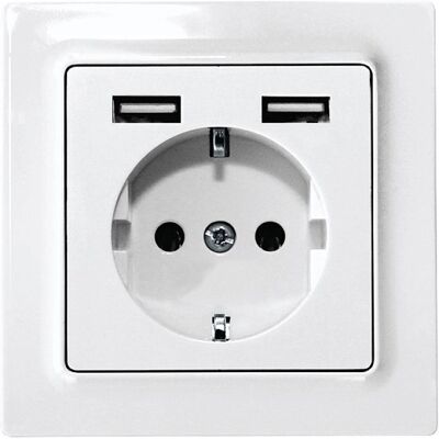 Eltako DSS55E+2xUSBA-wg - Schutzkontakt-Steckdose mit USB, Glänzend Weiß - Elektrischer Anschluss Eltako DSS55E+2xUSBA-wg - Schutzkontakt-Steckdose mit USB, Glänzend Weiß - Elektrischer Anschluss