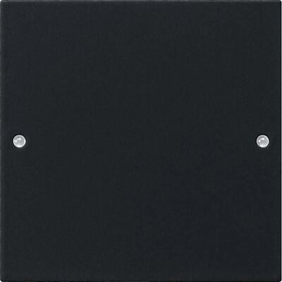 Gira 2181005 - Wippenset 1f. System 55 Schwarz - Switch Set Gira 2181005 - Wippenset 1f. System 55 Schwarz - Switch Set