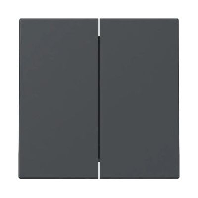 GIRA 329528 Wandplatte - Schalterabdeckung - Wandplatte/Switch Cover GIRA 329528 Wandplatte - Schalterabdeckung - Wandplatte/Switch Cover