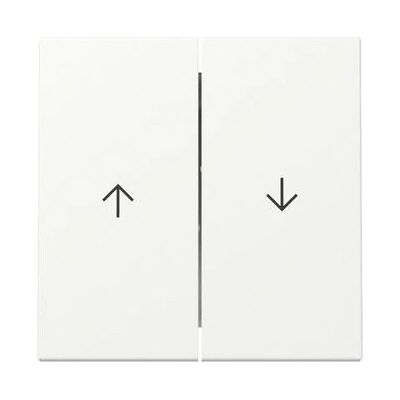 Gira L55.0000 Doppel-Wippenschalter - System 55 Gira L55.0000 Doppel-Wippenschalter - System 55