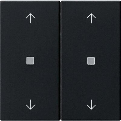 GIRA 5386005 - Wippe 2-fach Schwarz GIRA 5386005 - Wippe 2-fach Schwarz