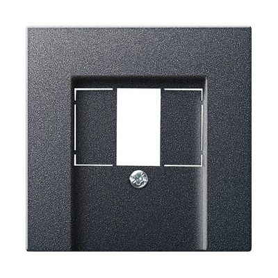 GIRA 027628 Wall Plate - TAE USB Anthracite GIRA 027628 Wall Plate - TAE USB Anthracite