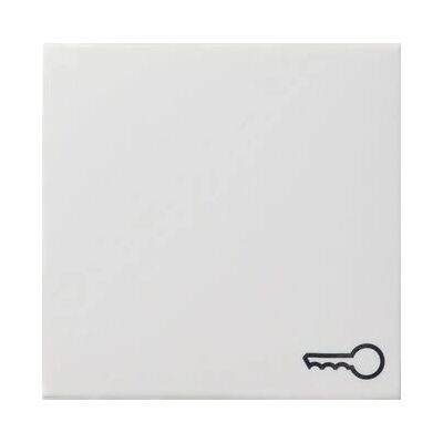Accessoire Interrupteur Électrique Gira 028703 - IP20, Plastique, Blanc, Symbole clé/porte - Publicité Accessoire Interrupteur Électrique Gira 028703 - IP20, Plastique, Blanc, Symbole clé/porte - Publicité