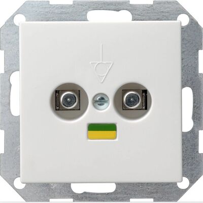 Gira Potentialausgleich 2-fach System 55 Weiß - Steckdose Gira Potentialausgleich 2-fach System 55 Weiß - Steckdose