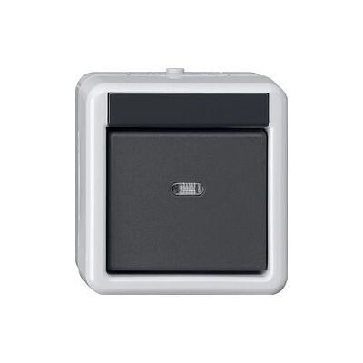 GIRA 515230 Elektrischer Schalter - KNX Taster Grau GIRA 515230 Elektrischer Schalter - KNX Taster Grau