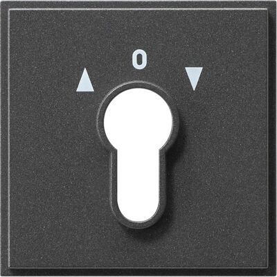 Gira Plaque Centrale Clé Anthracite TX44 - Accessoires pour interrupteurs - Publicité Gira Plaque Centrale Clé Anthracite TX44 - Accessoires pour interrupteurs - Publicité