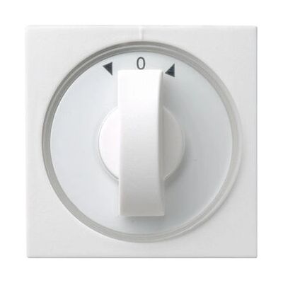 GIRA 066627 Weiße Wandplatte - Schalterabdeckungssystem GIRA 066627 Weiße Wandplatte - Schalterabdeckungssystem