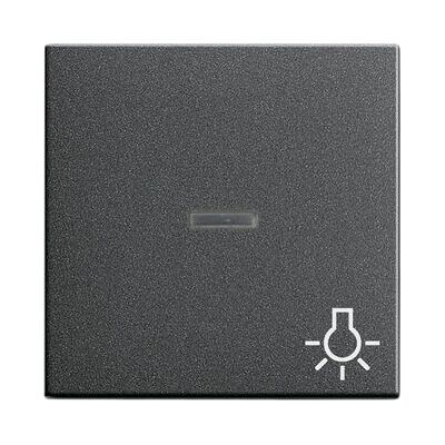 GIRA 067428 Wall Plate - Light Control - Wall Plate/Switch Cover GIRA 067428 Wall Plate - Light Control - Wall Plate/Switch Cover