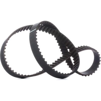 ALVADI CONTINENTAL CTAM Vezérműszíj - 134 Fogak OEM Minőség ALVADI CONTINENTAL CTAM Vezérműszíj - 134 Fogak OEM Minőség