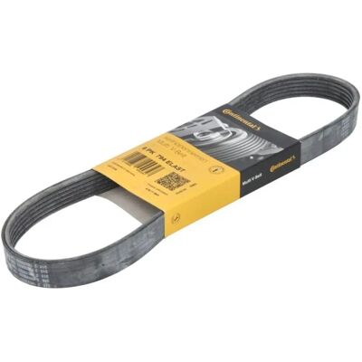 ALVADI CONTINENTAL CTAM V-ribbed belt 6PK794 Elast - V-ribbed rem ALVADI CONTINENTAL CTAM V-ribbed belt 6PK794 Elast - V-ribbed rem
