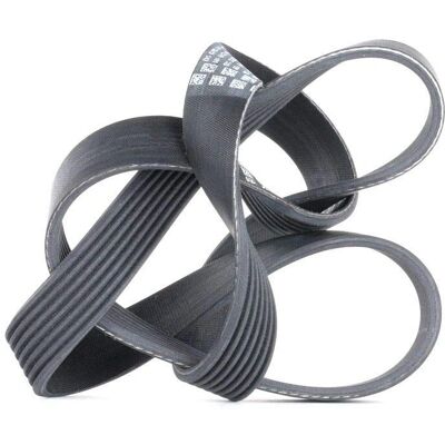 ALVADI CONTINENTAL Keilrippenriemen - Timing Belt ALVADI CONTINENTAL Keilrippenriemen - Timing Belt