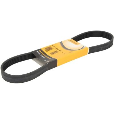 ALVADI CONTINENTAL 6PK848 V-ribbed belt - V-ribbed belt ALVADI CONTINENTAL 6PK848 V-ribbed belt - V-ribbed belt
