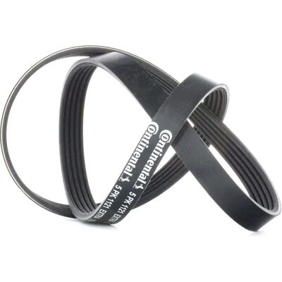 CONTITECH Volvo Keilrippenriemen - Keilrippenriemen CONTITECH Volvo Keilrippenriemen - Keilrippenriemen