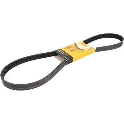CONTITECH 6PK1240 ELAST Courroie Trapézoïdale - Courroie d'accessoire CONTITECH 6PK1240 ELAST Courroie Trapézoïdale - Courroie d'accessoire