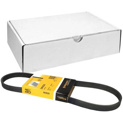 ALVADI CONTINENTAL Ctam V-Ribbed Belt - V-ρυγό δερματίνη ALVADI CONTINENTAL Ctam V-Ribbed Belt - V-ρυγό δερματίνη