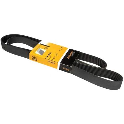 CONTITECH V-ribbed belt 7PK1605 - V-ribbed belt CONTITECH V-ribbed belt 7PK1605 - V-ribbed belt