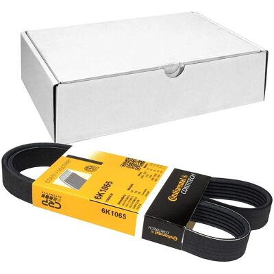 ALVADI CONTINENTAL 6PK1065 Courroie trapézoïdale - Courroie trapézoïdale - Publicité ALVADI CONTINENTAL 6PK1065 Courroie trapézoïdale - Courroie trapézoïdale - Publicité