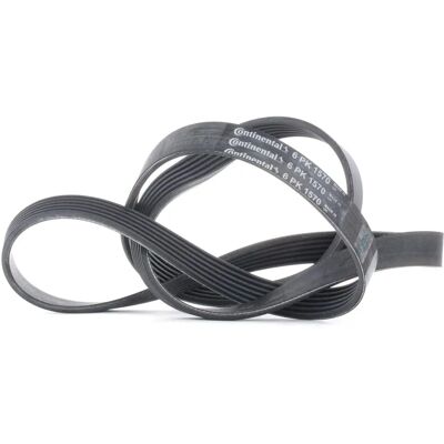 Continental Keilrippenriemen 6PK1570 - Keilrippenriemen Continental Keilrippenriemen 6PK1570 - Keilrippenriemen