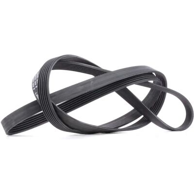 ALVADI CONTINENTAL CTAM Pasek V-trapezowy - Pasek trapezowy ALVADI CONTINENTAL CTAM Pasek V-trapezowy - Pasek trapezowy