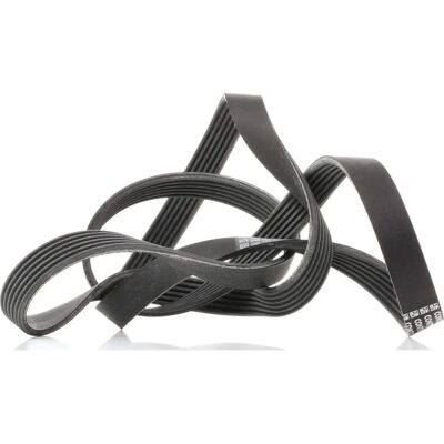 ALVADI CONTINENTAL CTAM Poly-V-szíj - V-ribbed belt ALVADI CONTINENTAL CTAM Poly-V-szíj - V-ribbed belt