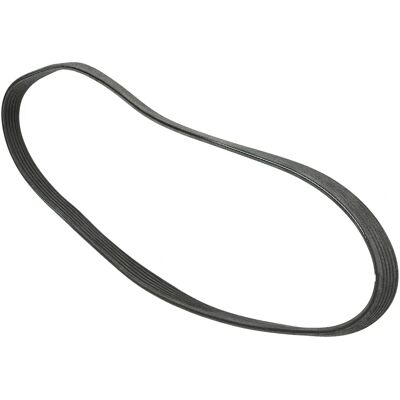 ALVADI CONTINENTAL 6PK831 Courroie trapézoïdale - Courroie d'accessoire - Publicité ALVADI CONTINENTAL 6PK831 Courroie trapézoïdale - Courroie d'accessoire - Publicité