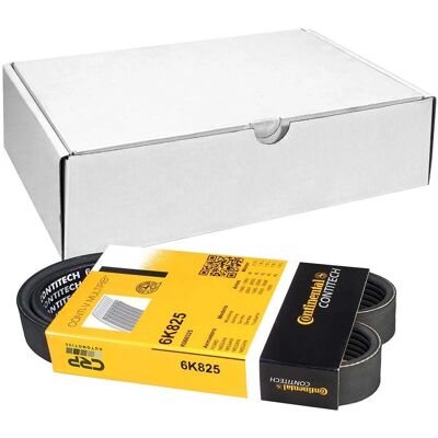 Cinghia a V 6PK825 di Contitech - Cinghia di trasmissione Cinghia a V 6PK825 di Contitech - Cinghia di trasmissione