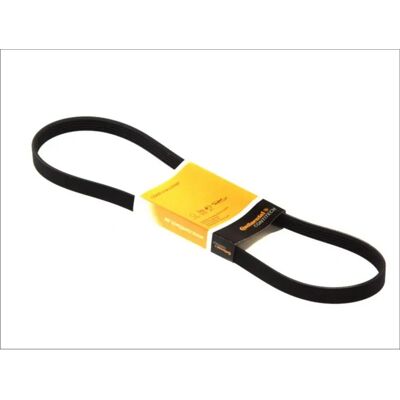 ALVADI CONTINENTAL CTAM Keilrippenriemen - V-ribbed belt ALVADI CONTINENTAL CTAM Keilrippenriemen - V-ribbed belt