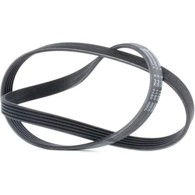 Continental Keilrippenriemen 1150mm - Keilrippenriemen Continental Keilrippenriemen 1150mm - Keilrippenriemen