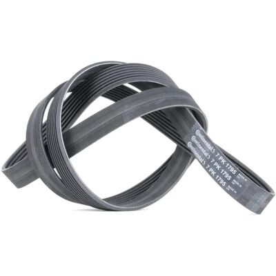 ALVADI CONTINENTAL CTAM V-ribbed belt - 7PK1795 - V-ribbed belt ALVADI CONTINENTAL CTAM V-ribbed belt - 7PK1795 - V-ribbed belt