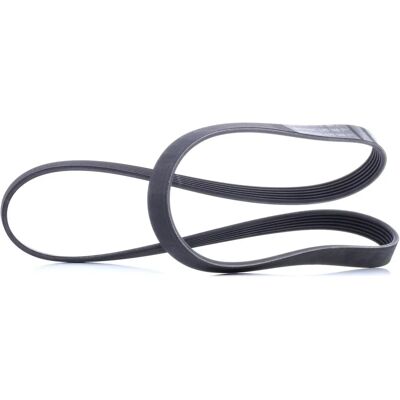 ALVADI CONTINENTAL CTAM Keilrippenriemen - Keilrippenriemen ALVADI CONTINENTAL CTAM Keilrippenriemen - Keilrippenriemen