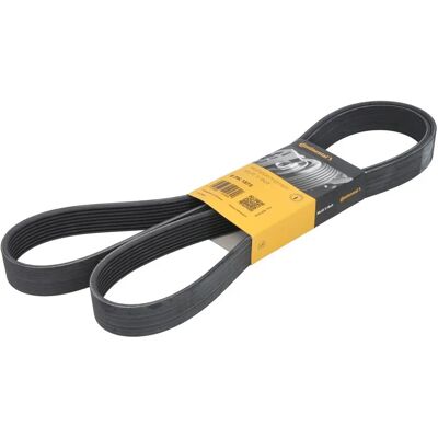 CONTITECH 8PK1875 Poly-V hihna - Lisävaruste CONTITECH 8PK1875 Poly-V hihna - Lisävaruste
