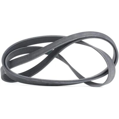 ALVADI CONTINENTAL CTAM Cinghia a nervature a V 7PK2265 - Cinghia a nervature ALVADI CONTINENTAL CTAM Cinghia a nervature a V 7PK2265 - Cinghia a nervature