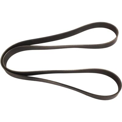 Contitech 8PK1325 Correia nervurada trapézoidal - Correia nervurada trapézoidal Contitech 8PK1325 Correia nervurada trapézoidal - Correia nervurada trapézoidal