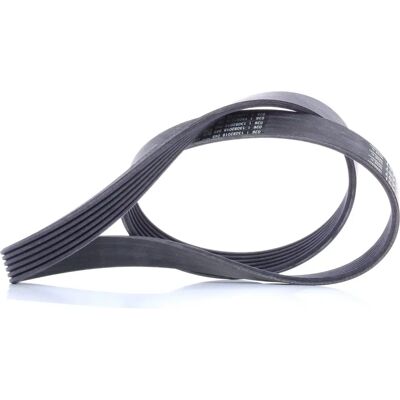 ALVADI CONTINENTAL CTAM Keilrippenriemen 6PK1090 ELAST - Keilriemen ALVADI CONTINENTAL CTAM Keilrippenriemen 6PK1090 ELAST - Keilriemen
