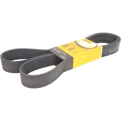 Contitech 10PK1675 V-belt - Accessory belt Contitech 10PK1675 V-belt - Accessory belt
