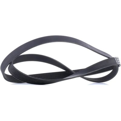 ALVADI CONTINENTAL CTAM V-gyűrűs szíj - V-ribbed belt ALVADI CONTINENTAL CTAM V-gyűrűs szíj - V-ribbed belt