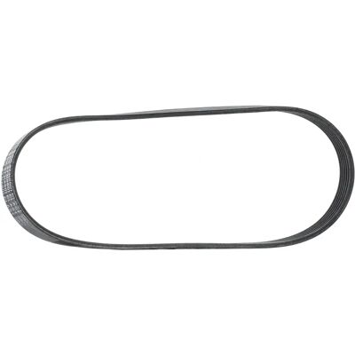 ALVADI CONTINENTAL Courroie V-ribbed 6PK873 - Courroie V-ribbed ALVADI CONTINENTAL Courroie V-ribbed 6PK873 - Courroie V-ribbed