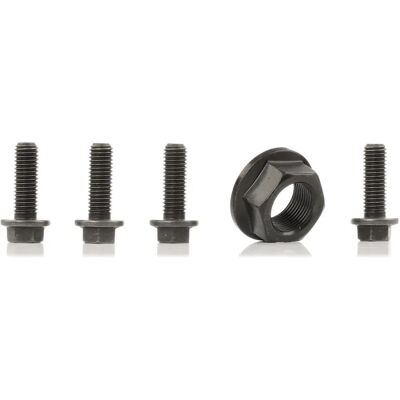 Kit Cinghia Motore Volvo - MS39, Include viti e puleggia Kit Cinghia Motore Volvo - MS39, Include viti e puleggia