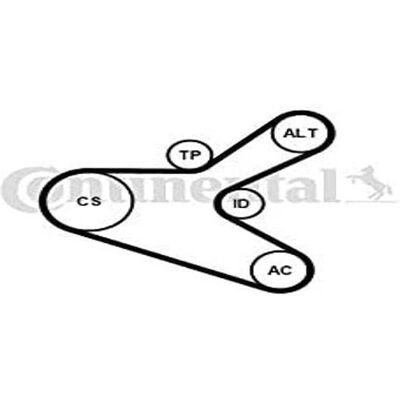 Kit de Courroie de Distribution CONTITECH 6PK1153K2 - 6 nervures, Kit complet - Publicité Kit de Courroie de Distribution CONTITECH 6PK1153K2 - 6 nervures, Kit complet - Publicité