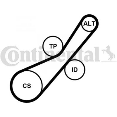 Contitech 6PK800K1 Tidsremssats - 6 Rillor Contitech 6PK800K1 Tidsremssats - 6 Rillor