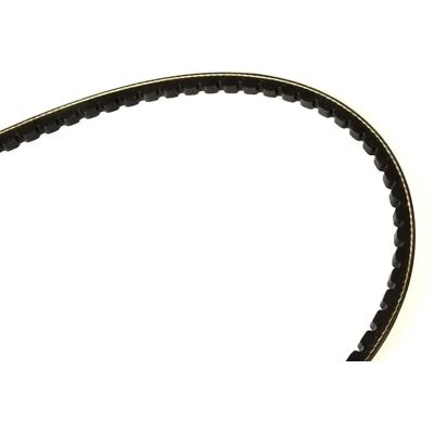 ALVADI CONTINENTAL V-ribbed belt - V-ribbed belt ALVADI CONTINENTAL V-ribbed belt - V-ribbed belt