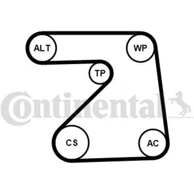 Contitech 5PK1334WP1 Pompa de apă și kit curea de distribuție - Pentru Opel Corsa și Astra Contitech 5PK1334WP1 Pompa de apă și kit curea de distribuție - Pentru Opel Corsa și Astra