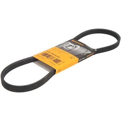 Continental 4PK865 Elast Moniveto - Moniveto Continental 4PK865 Elast Moniveto - Moniveto