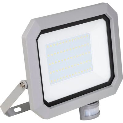 Projecteur LED extérieur avec détecteur de mouvements Schwabe 46408 - Publicité Projecteur LED extérieur avec détecteur de mouvements Schwabe 46408 - Publicité