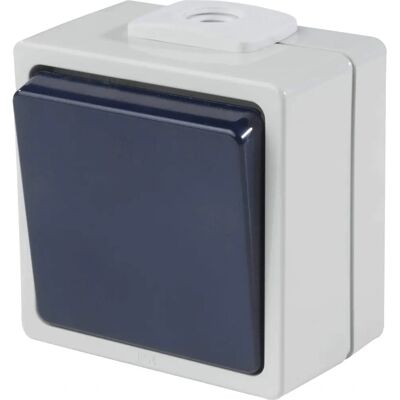 Interruttore da Parete Schwabe 62450 Grigio IP54 Interruttore da Parete Schwabe 62450 Grigio IP54